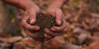 土壤，农业，慢动作，