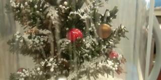 用红球绑在树枝上的圣诞装饰