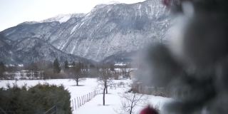 雪景和圣诞树