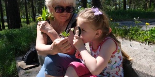 奶奶和她的孙女在森林里采摘各种各样的植物和花，用放大镜观察。家庭和归属感