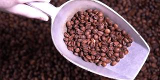 湿咖啡粉磨加工或洗涤站。农业咖啡行业的产品线概念。
