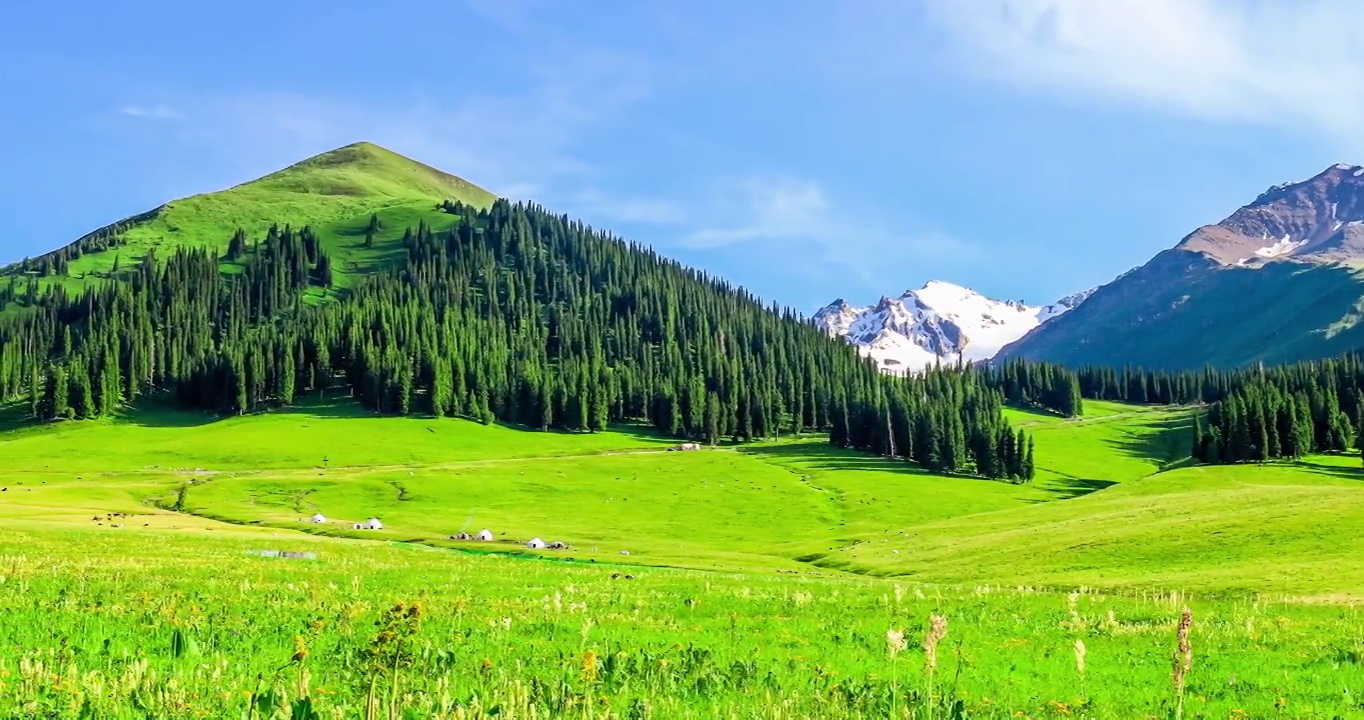 中国新疆那拉提草原的自然风光。