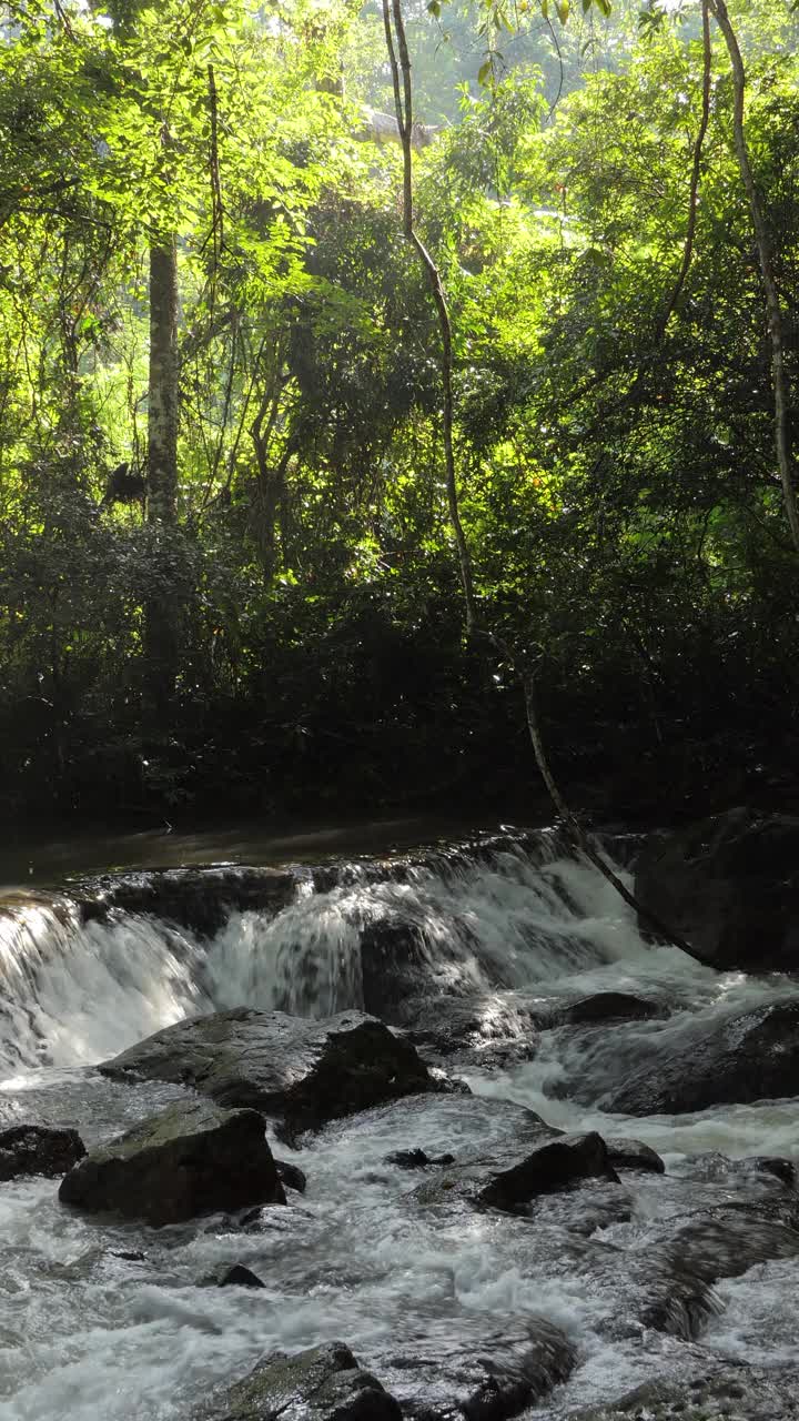热带雨林中的瀑布，