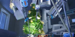 机器人手臂环绕着圣诞树来装饰它。现代化的医疗设备装饰着手术室的冷杉树。精密的操作人员把纸雪花放在冷杉树上。