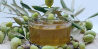 成熟的绿色橄榄水果浸泡在碗与天然橄榄油，有机橄榄油滴在慢动作