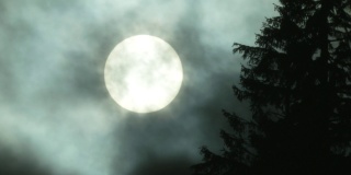 满月诡异的长镜头拍摄森林前景的剪影，苏格兰