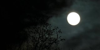 满月和移动的云