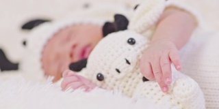 亲密的手快乐的新生婴儿穿着可爱的奶牛服装躺着睡觉拥抱奶牛娃娃在白色的背景舒适和安全。可爱的亚洲婴儿在婴儿床上睡觉和打盹