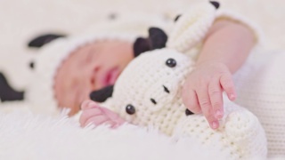 亲密的手快乐的新生婴儿穿着可爱的奶牛服装躺着睡觉拥抱奶牛娃娃在白色的背景舒适和安全。可爱的亚洲婴儿在婴儿床上睡觉和打盹视频素材模板下载