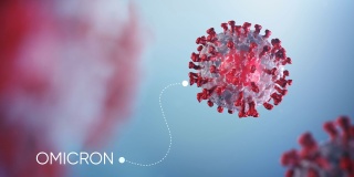 3D渲染冠状病毒COVID-19显微镜视图。大流行性流感病毒感染人类细胞的危险传染性欧米克隆病毒细胞的显微镜观察。