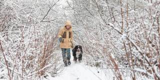 一名身穿黄色冬季夹克的女子正带着她的伯尔尼山狗走在雪原森林的小道上，她走近摄像机——慢镜头。