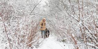 一名身穿黄色冬季夹克的女子正带着她的伯尔尼山狗走在雪原森林的小道上，她走近摄像机——慢镜头。