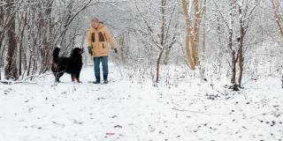 一个女人穿着一件黄色的冬季夹克，在雪原森林里遛着她的伯尔尼山狗。他们一起向镜头走去。轻微的慢动作。