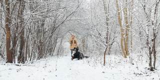 在一段慢动作视频中，一名女子带着她的伯尔尼山狗在雪原森林中走向摄像机。