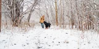 在雪原森林里，一名身穿黄色冬季夹克的女子正带着她的伯尔尼山狗走向摄像机。