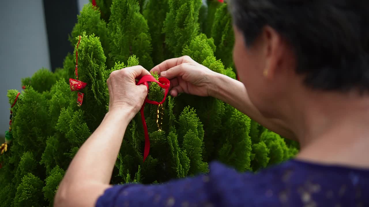 亚洲华人微笑女性活跃的老年人在树上装饰中国新年装饰品