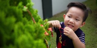 亚洲华人微笑的小男孩在树上装饰中国新年的装饰品