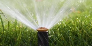 塑料喷灌机在夏季花园用水灌溉草坪。旱季灌溉绿色植被，以保持其新鲜