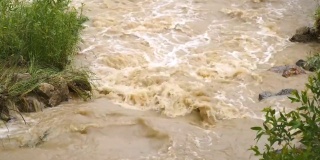 春季暴雨期间，浑河汛期出现脏水。