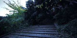 夜晚黑暗神秘的阶梯路在山公园。仙子危险暮路。多莉拍摄