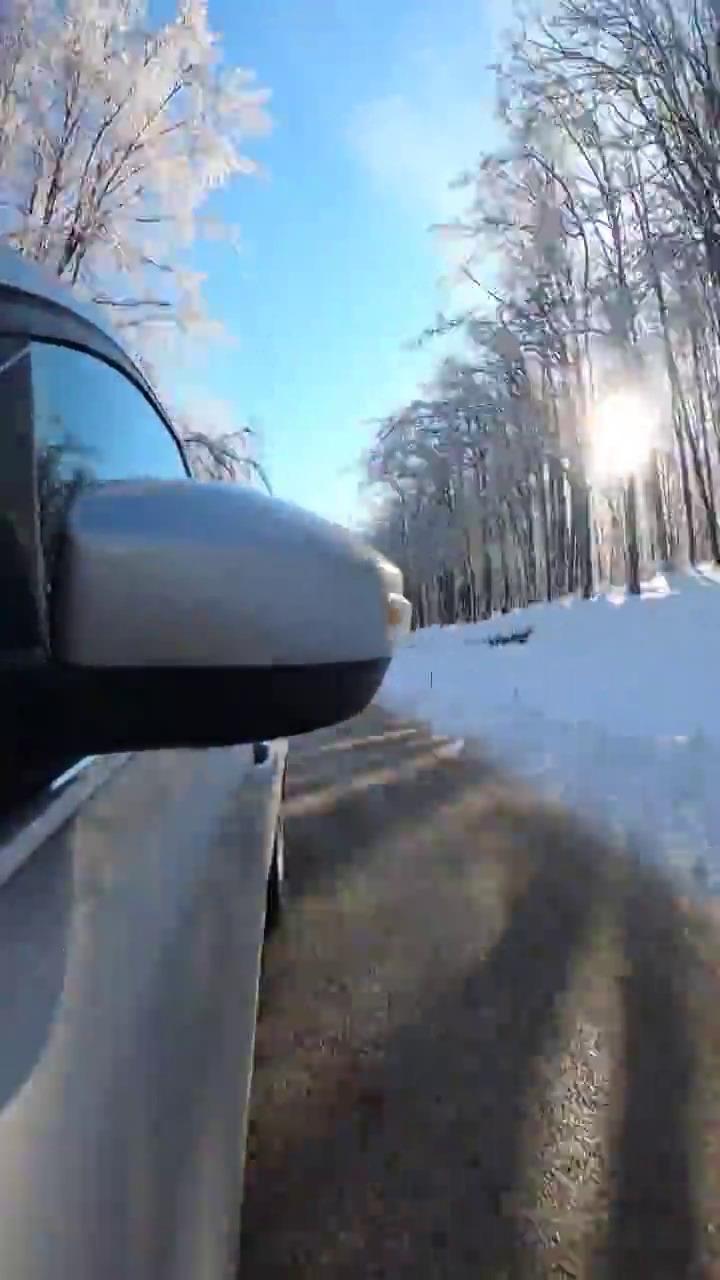 驾车穿过雪原森林