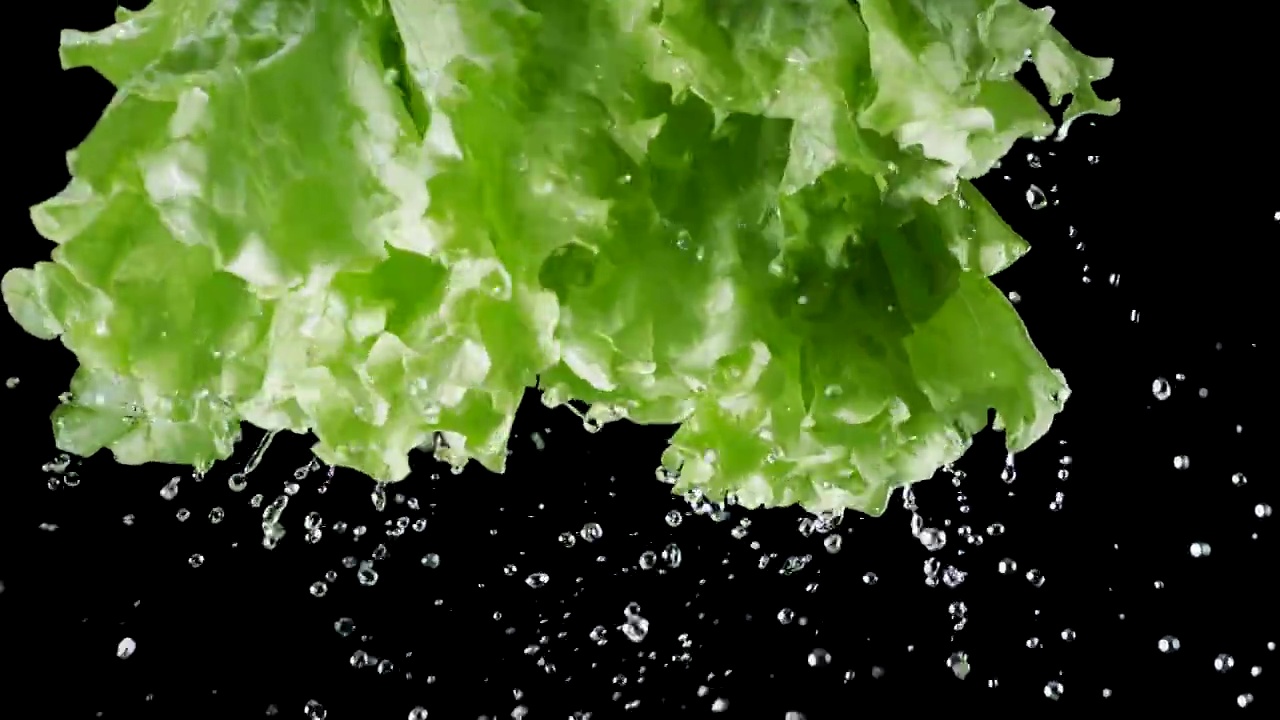 带有水滴的绿色生菜叶子在黑色背景上以慢动作移动。Blackmagic Ursa Pro G2, 300帧每秒。