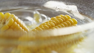 有机黄色甜玉米在透明的炖锅中煮熟。在炉子上煮玉米棒视频素材模板下载