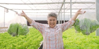 在温室花园，4K亚洲高级女农民拿着袋装的有机生菜。