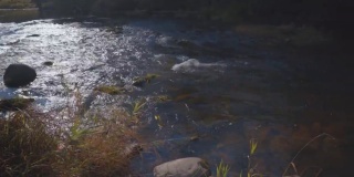 阿玛塔河夏季水流湍急