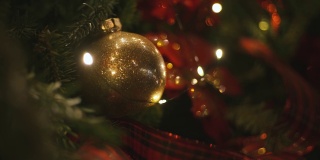 美丽的绿色树枝的冬季冷杉树与神奇的节日彩灯圣诞装饰