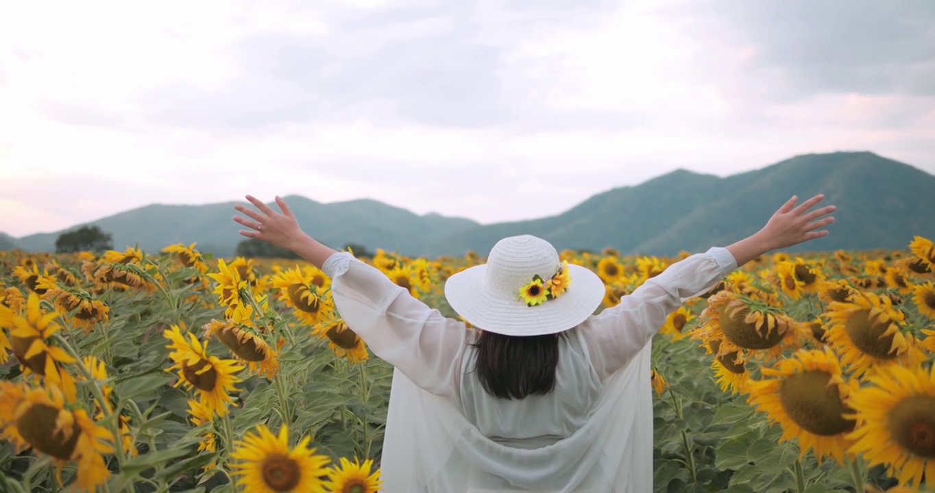 自由的概念，一个奇妙的女人在黄色向日葵地里举起双手的背影。每天都是一个快乐的地方。向日葵田里的夕阳。