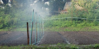 洒水器在花园里洒水。水对人类和农业都是有用的。田间喷灌系统工作。喷头旋转伴水溅。