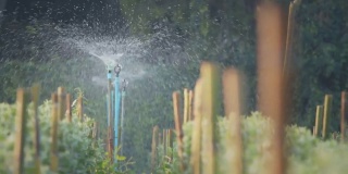 洒水器在花园里洒水。水对人类和农业都是有用的。田间喷灌系统工作。喷头旋转伴水溅。