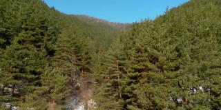飞越针叶林，这片针叶林覆盖着高山的陡坡，山上有一片片的雪