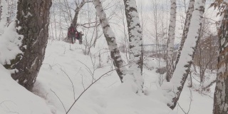 白桦林，在冬季，大雪纷飞，两名徒步旅行者穿过大雪