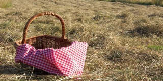 野餐篮和红色格子布在农民的田里