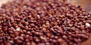 缓慢下落的有机红色藜麦颗粒。微距镜头。未煮干无麸质种子。健康的超级食物