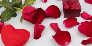 情人节。红玫瑰，白底色，花瓣。情人节快乐。