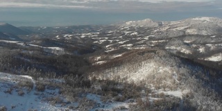 冬天的森林在雪地里被阳光的光芒照亮