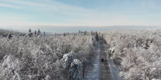 路上开着一辆车，旁边是白雪皑皑的树