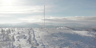 冬天的森林在雪地里被阳光的光芒照亮