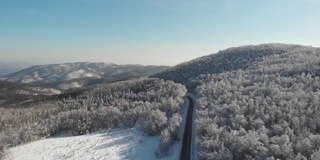 冬天的森林在雪地里被阳光的光芒照亮