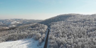 冬天的森林在雪地里被阳光的光芒照亮