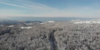 冬天的森林在雪地里被阳光的光芒照亮