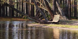 美丽的秋天森林公园的风景，阳光下的木椅，树叶飘落在宁静的湖面上，可循环播放4k慢动作镜头。