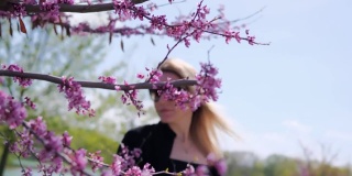 一位年轻美丽的女子正在欣赏樱花。盛开的粉红色的木头。有选择性的重点