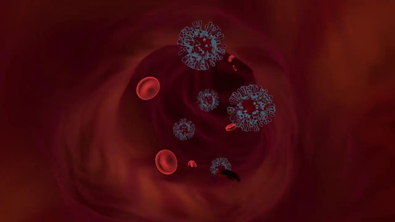 静脉里的病毒和血细胞