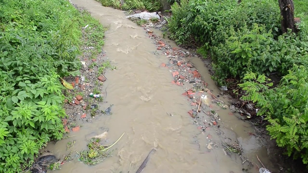 雨水泛滥的脏水从被绿色植被覆盖的河岸流过