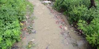 雨水泛滥的脏水从被绿色植被覆盖的河岸流过