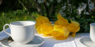 春天的花园茶水之桌